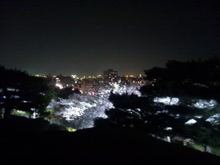 兼六園からの夜景