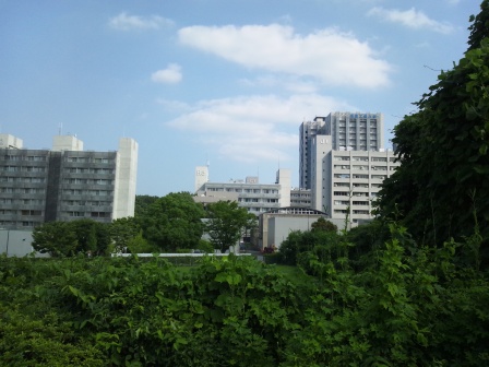 ビル群のように見えるキャンパス.建物名が分かりやすい.