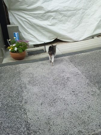 まってー!