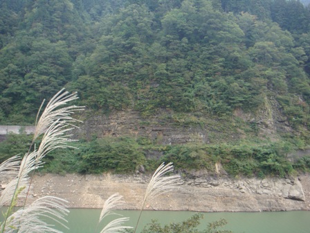 桑島の化石壁